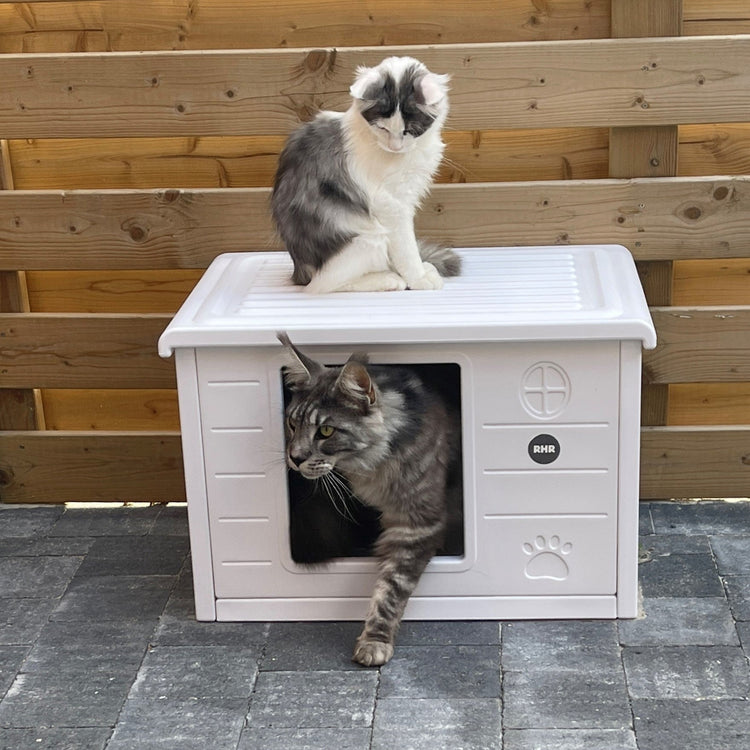 Maisonnette pour chat Villa de Luxe pour extérieur et intérieur (blanc)
