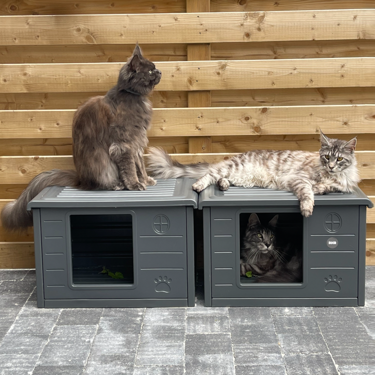 Maisonnette pour chat Villa de Luxe pour extérieur et intérieur (Gris Foncé)