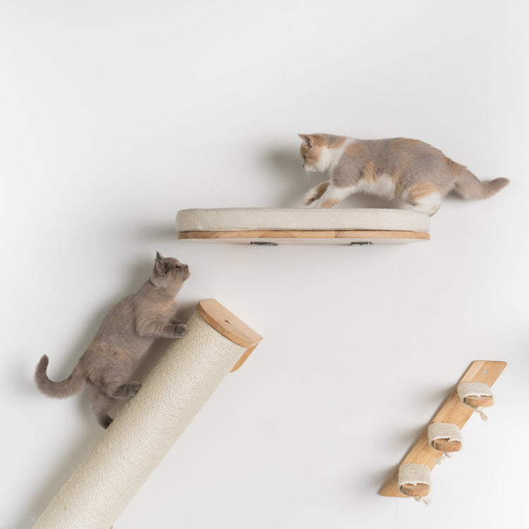 Mur d’escalade pour chat - Luxueux lit mural pour chat (beige)