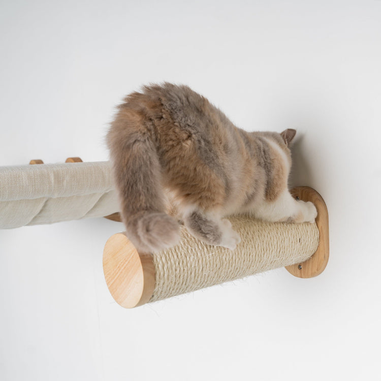 Mur d’escalade pour chat - Ensemble de poteaux muraux en sisal (beige)