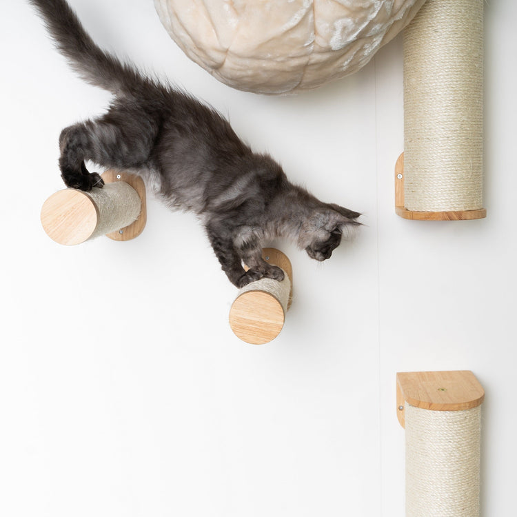 Mur d’escalade pour chat - Ensemble de poteaux muraux en sisal (beige)
