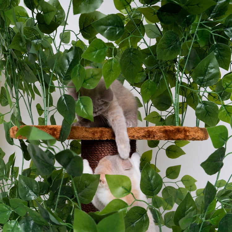 Feuilles naturelles design pour arbre à chat (Marron)