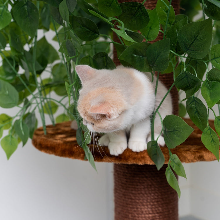 Feuilles naturelles design pour arbre à chat (Marron)
